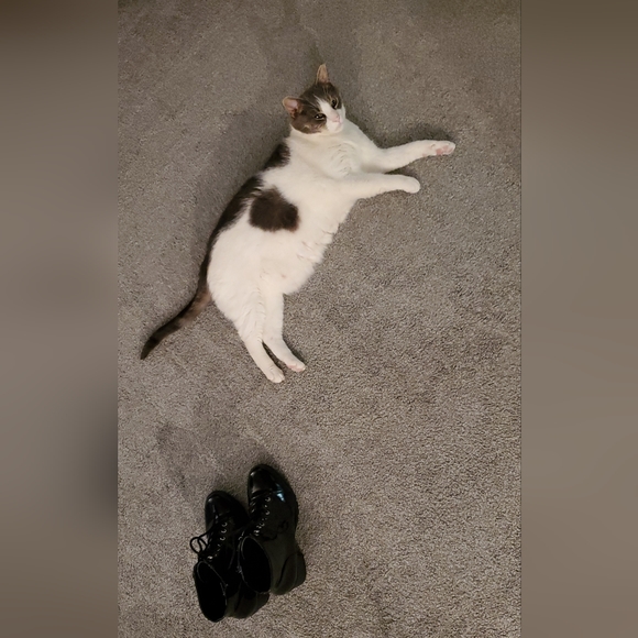 💜🖤💚 Shop my fabulous, ever growing closet! 💜🖤💚 - Picture 10 of 10